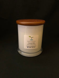 Coconut lime/soy/wax/extra large/candle