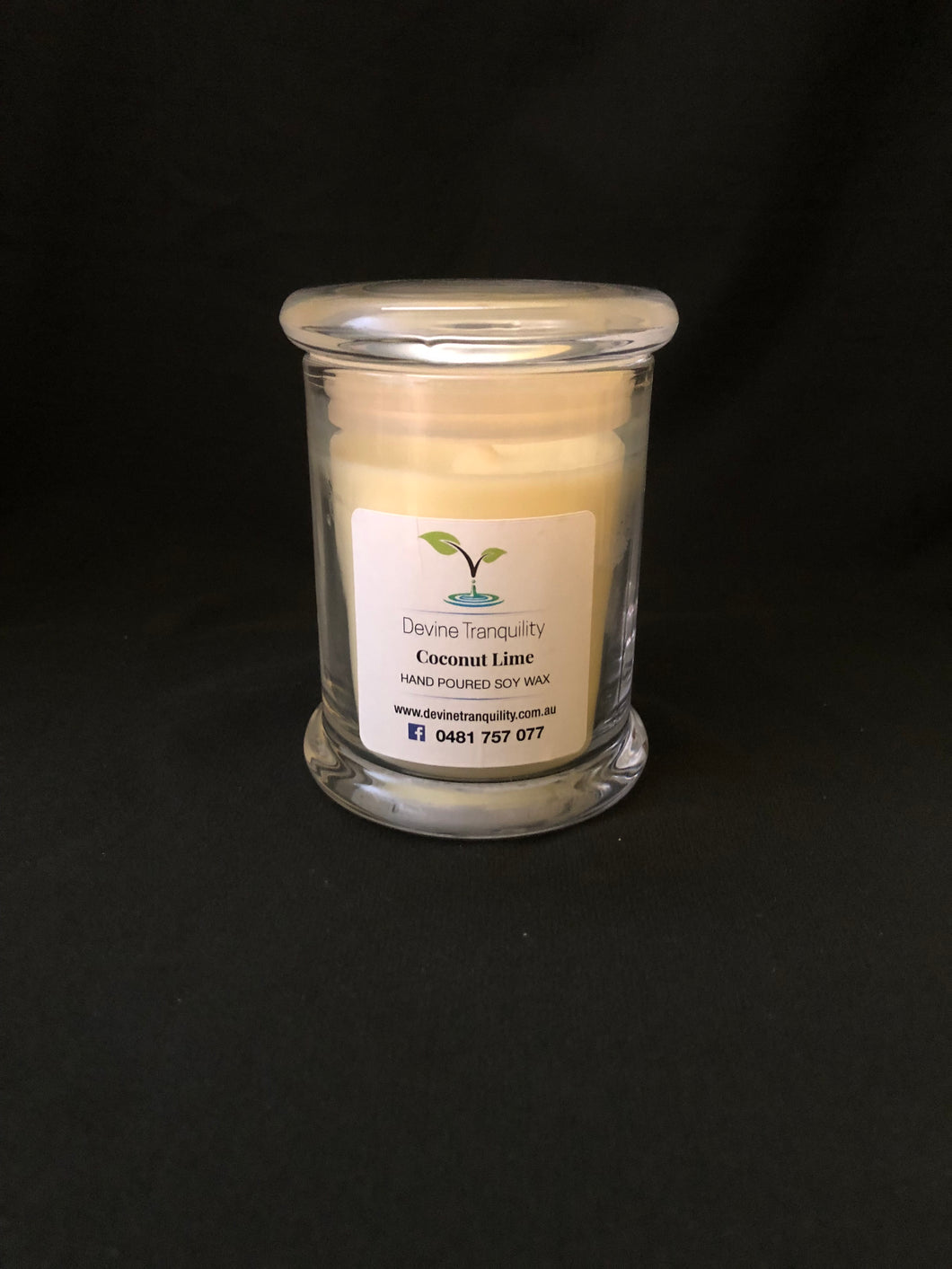 Coconut lime/soy/wax/ large/candle