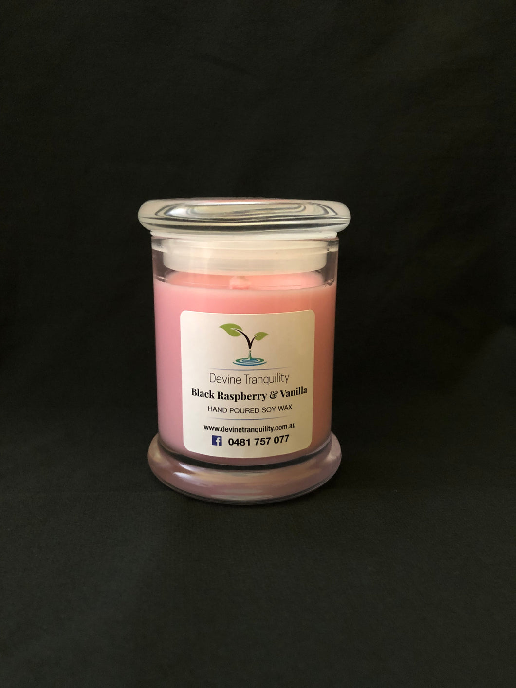 Black Raspberry & vanilla soy scented candle